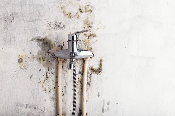 Mold Removal Process in Keowee Key, SC