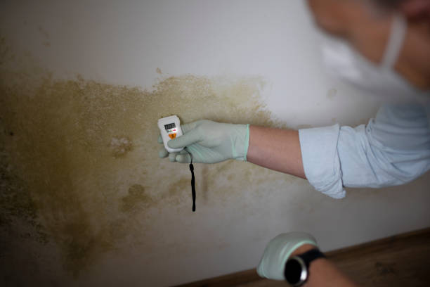 Best Certified Mold Removal  in Keowee Key, SC