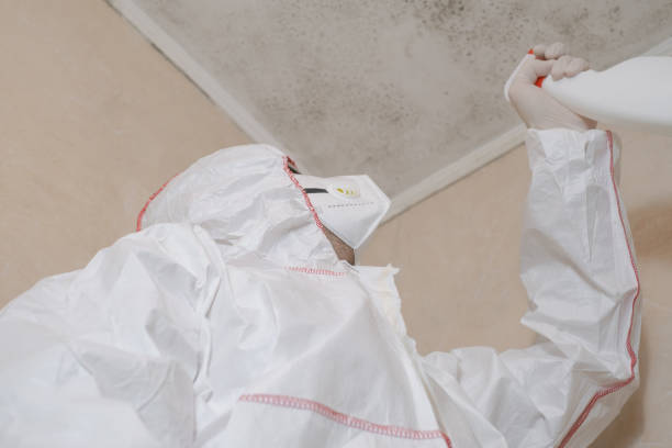 Mold Removal and Inspection in Keowee Key, SC